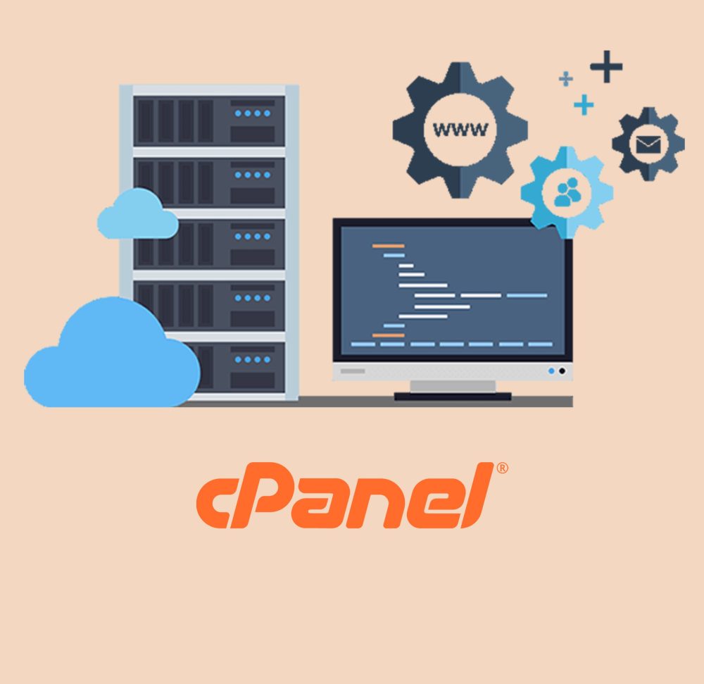 alyvalley CMS + hosting 1 year