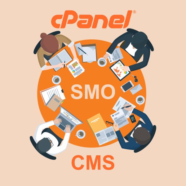 alyvalley SMO + HOSTING + CMS