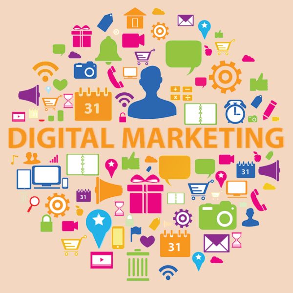 alyvalley digital marketing